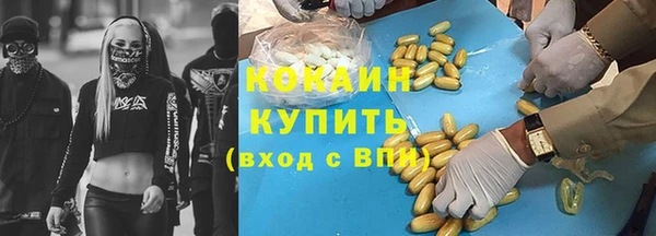 молекула духа Вяземский